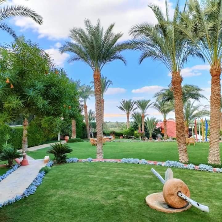 Lazib Inn Resort & Spa Tunis Exteriör bild